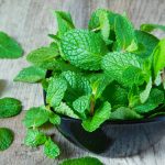 Menta: Răcoritoare și Revitalizantă